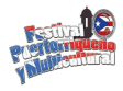 Festival Puertorriqueño
